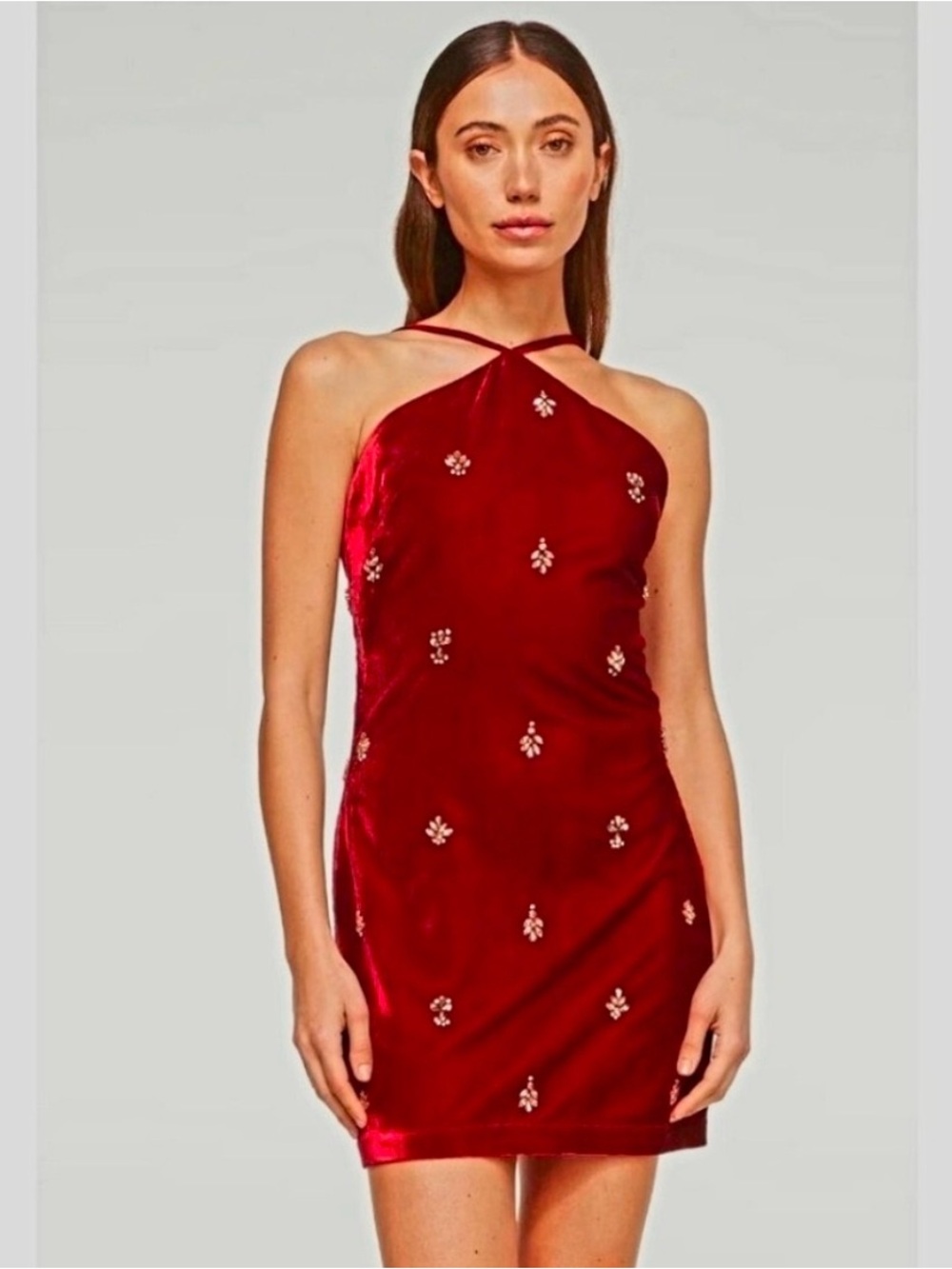 MISA Los Angeles Camille Dress in Velvet